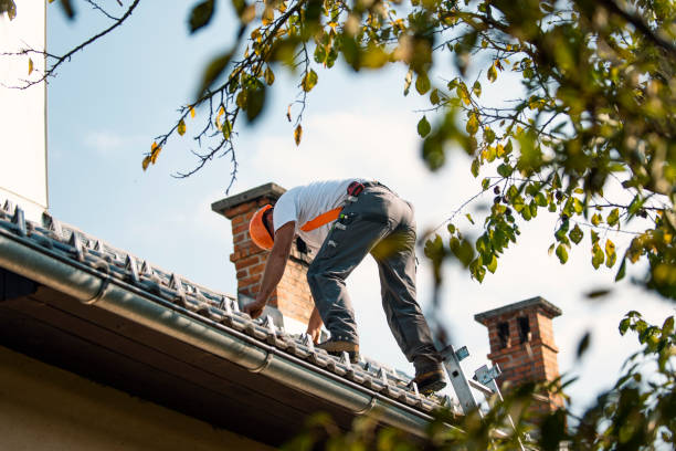 Roof Gutter Cleaning in La Cresta, CA