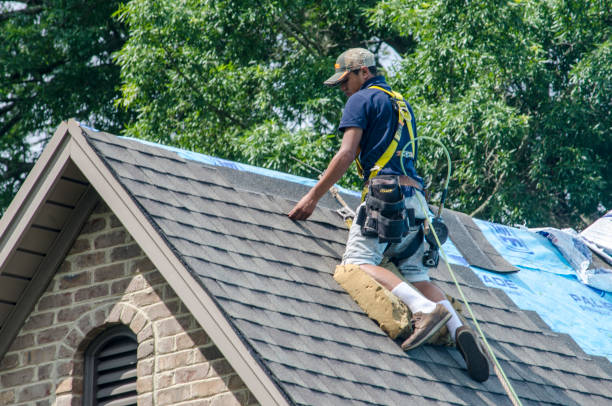 Best Roof Maintenance Services  in La Cresta, CA